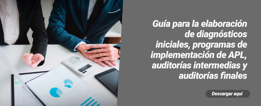 guia_diagnosticos_auditorias_apl